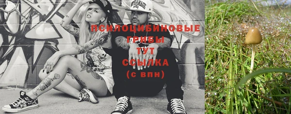 mix Горняк