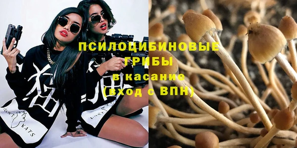 mix Горняк