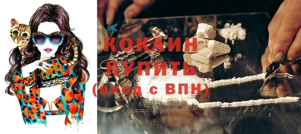apvp Горнозаводск