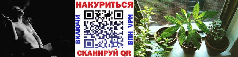 наркотики  Мезень  Бошки марихуана конопля 